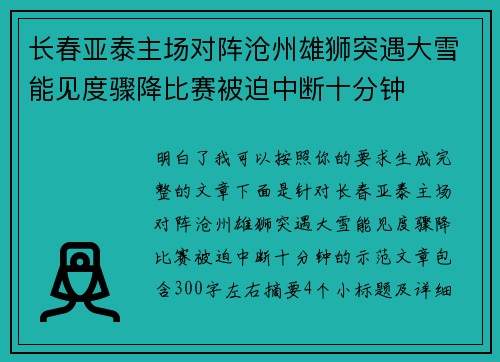 长春亚泰主场对阵沧州雄狮突遇大雪能见度骤降比赛被迫中断十分钟 长春亚泰主场对阵沧州雄狮突遇大雪能见度骤降比赛被迫中断十分钟